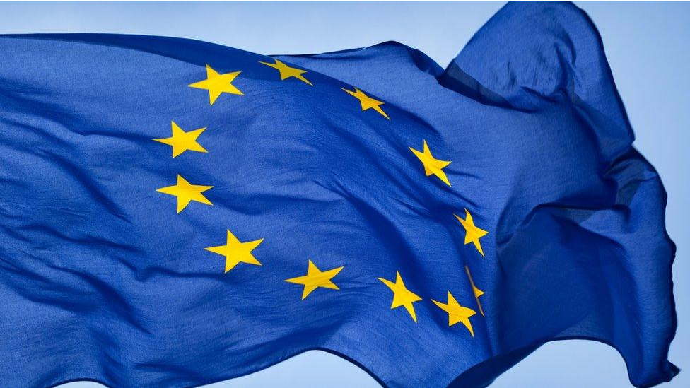 European Union Flag